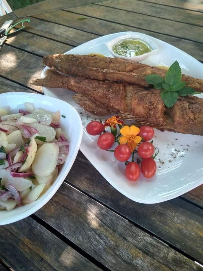 Willa San Na Vodi Smederevo Zewnętrze zdjęcie